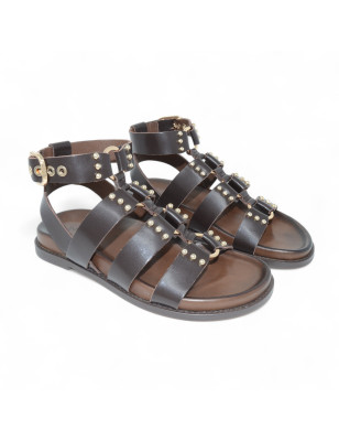 D51013 BROWN