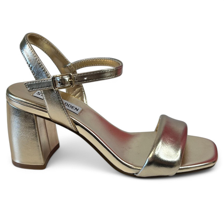 SMS LAYNEY -977 Steve Madden